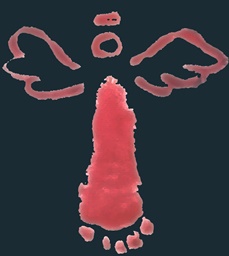 http://www.kinderarzt-dr-bez-diez.de